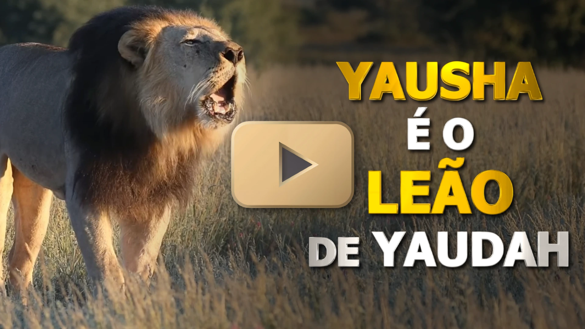 YAUSHA é o Leão de Yaudah
